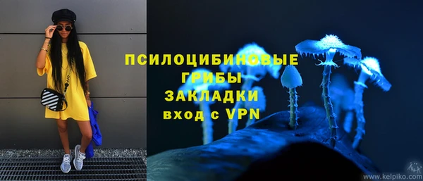 сатива Балабаново