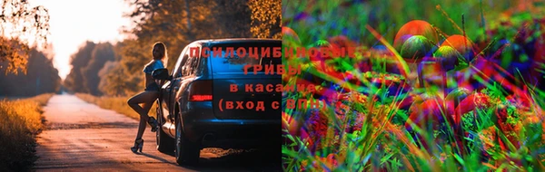 винт Баксан